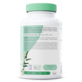 Osavi Natural Quercetin, 500mg - 60 vegan caps