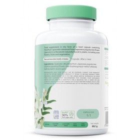 Osavi Natural Quercetin, 500mg - 120 vegan caps