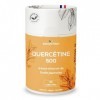 Quercétine 500 mg par gélule | 90 gélules | Substance végétale bioflavonoïde | Bonne biodisponibilité et tolérance | Végétali