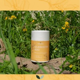 Quercétine 500 mg par gélule | 90 gélules | Substance végétale bioflavonoïde | Bonne biodisponibilité et tolérance | Végétali