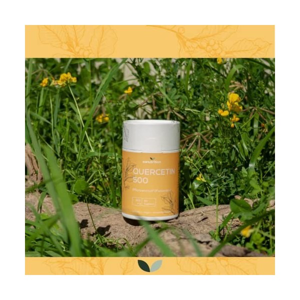 Quercétine 500 mg par gélule | 90 gélules | Substance végétale bioflavonoïde | Bonne biodisponibilité et tolérance | Végétali