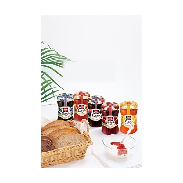 Schwar Myrtille Extra de Forêt de rosée, 1er Pack 1 x 340 g 