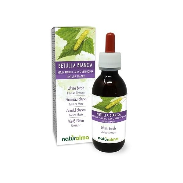 Bouleau blanc ou Bouleau verruqueux Betula pendula, alba ou verrucosa feuilles Teinture Mère sans alcool Naturalma - Extrai M...