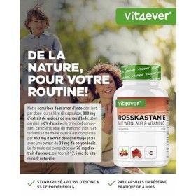 Extrait de marron dInde - 240 gélules - Hautement dosé avec 1330 mg dextrait par portion journalière - Marron dInde avec f