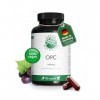 OPC extrait de pépins de raisin - 1250 mg dextrait et 1000 mg dOPC par dose quotidienne - 200 gélules haute concentration p
