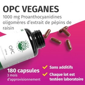 OPC extrait de pépins de raisin - 1250 mg dextrait et 1000 mg dOPC par dose quotidienne - 200 gélules haute concentration p