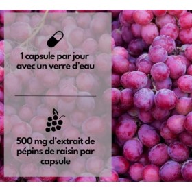 EXVital® OPC Extrait de pépins de raisin, 240 gélules, hautement dosé avec 500 mg par gélule, issu de raisins français, testé