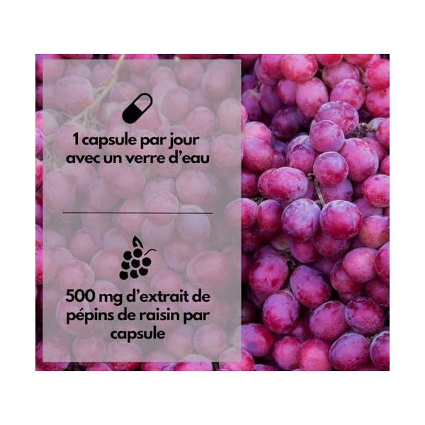 EXVital® OPC Extrait de pépins de raisin, 240 gélules, hautement dosé avec 500 mg par gélule, issu de raisins français, testé