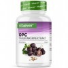 vit4ever OPC extrait de pépins de raisin – 300 gélules – 1000 mg d’extrait avec 700 mg d’OPC – Teneur la plus élevée selon HP