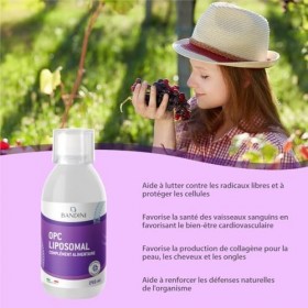 Bandini® OPC Liposomal Liquide 250ml - Extrait de pépins de raisin 95% OPC 200mg par dose - Absorption optimale avec techno