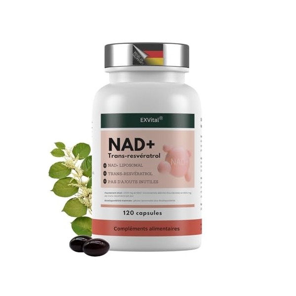 EXVital® NAD+, 1000 mg de NAD+ et 600 mg de trans-resvératrol par jour - 120 gélules végétaliennes - liposomales et biodispon