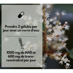 EXVital® NAD+, 1000 mg de NAD+ et 600 mg de trans-resvératrol par jour - 120 gélules végétaliennes - liposomales et biodispon