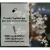 EXVital® NAD+, 1000 mg de NAD+ et 600 mg de trans-resvératrol par jour - 120 gélules végétaliennes - liposomales et biodispon