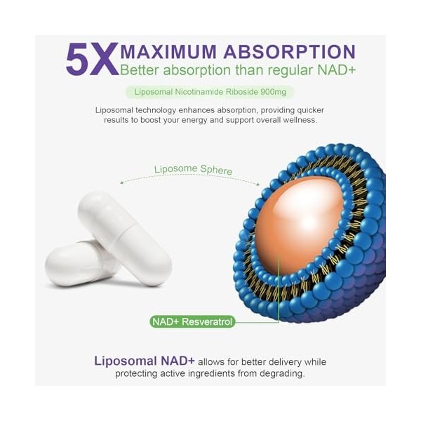 Nad Le complément alimentaire Nad+ soutient lanti-âge et améliore limmunité, 900 mg Nad+ Resvératrol Complément alimentaire R...