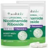 Nad Le complément alimentaire Nad+ soutient lanti-âge et améliore limmunité, 900 mg Nad+ Resvératrol Complément alimentaire R...
