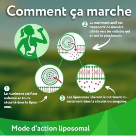 Vitabay NAD+ Liposomal 1000mg & Trans-Resveratrol 600mg - 90 Softgels Végétalien - Haute Dose, Testé en Laboratoire - Supplém