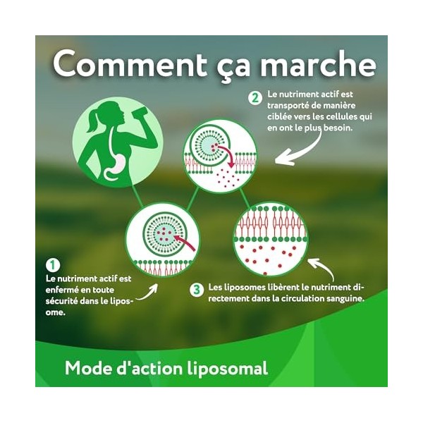 Vitabay NAD+ Liposomal 1000mg & Trans-Resveratrol 600mg - 90 Softgels Végétalien - Haute Dose, Testé en Laboratoire - Supplém