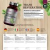 GH Resveratrol | 90 Supplément de Resvératrol Haute Concentration - 100 mg de Trans Resveratrol par Portion | Antioxydant à b