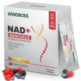 Windboss Liquide à Haute Puissance NAD+ 1000mg, NRHM ULTRA RENFORCÉ & PHYTOSOME DE QUERCÉTINE, TRANS-RESVÉRATROL– Stimule lÉ