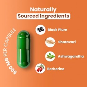 ZEROHARM Soutien de la glycémie – Mélange de plantes à base de prune noire, dashwagandha et de berbérine – Métabolisme et éq