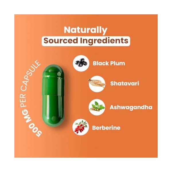 ZEROHARM Soutien de la glycémie – Mélange de plantes à base de prune noire, dashwagandha et de berbérine – Métabolisme et éq