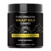Gommes de Shilajit pur de lHimalaya : shilajit de qualité or enrichi en ashwagandha, acide fulvique et plus de 85 oligo-élém