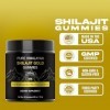 Gommes de Shilajit pur de lHimalaya : shilajit de qualité or enrichi en ashwagandha, acide fulvique et plus de 85 oligo-élém