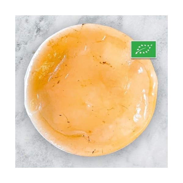 Mère de kombucha BIO - Fraîche - Réutilisable - Starter inclus - Controlée - Fabriquée en France - Recette complète incluse