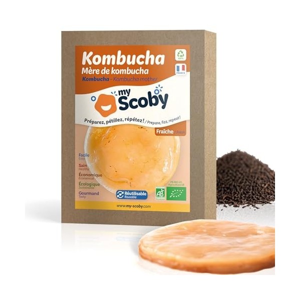 Mère de kombucha BIO - Fraîche - Réutilisable - Starter inclus - Controlée - Fabriquée en France - Recette complète incluse