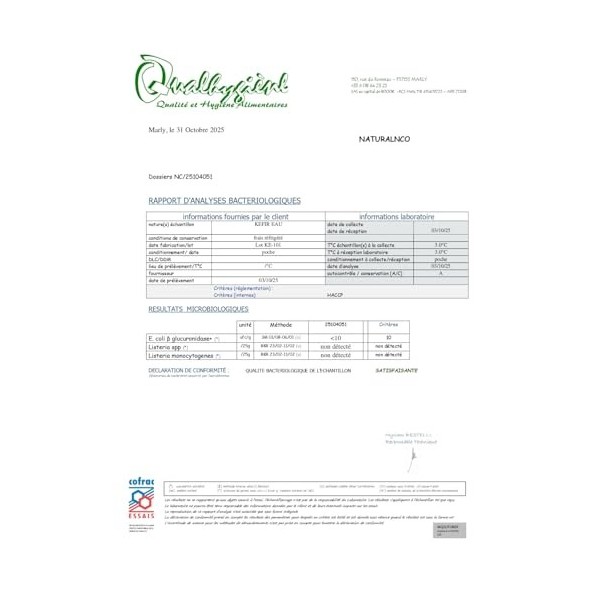 Natural Probio® Kéfir deau - Kit de démarrage de Culture - Grains de kefir de Fruit + Notice complète Recette et Conseils + ...