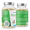 NUTRI & CO Probiotique Flore Intestinale - 60 Milliards UFC/jour - 8 Souches Dont 3 Cliniquement Étudiées - 60 Gélules Gastro