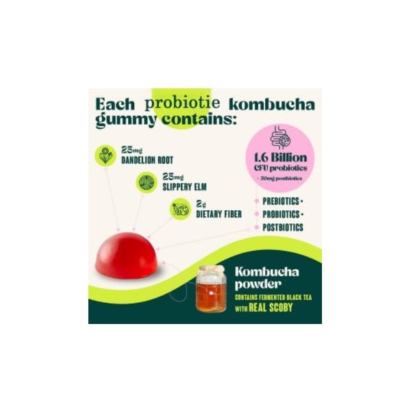Gummies probiotiques – Favorise la santé digestive, le soulagement des ballonnements et le soutien intestinal - Santé intesti