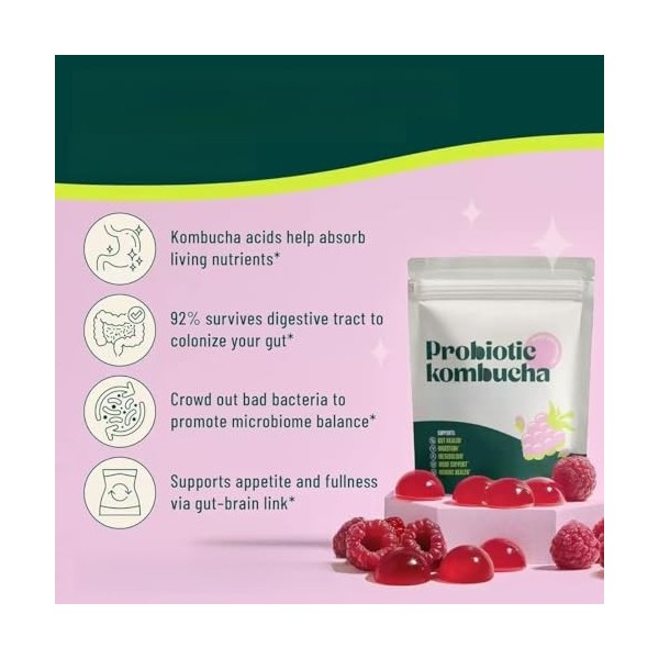 Soutient la santé digestive, le soulagement des ballonnements et le soutien intestinal - Probiotiques pour femmes et hommes