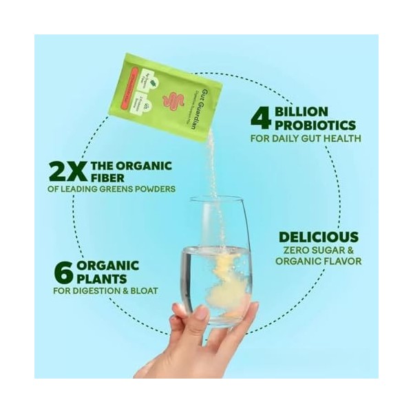 Gut Guardian, sachets de poudre pour la santé digestive – Soulagement des ballonnements et soutien à la digestion – Zéro sucr