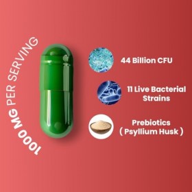ZEROHARM Digestion Max – Probiotiques à 44 milliards dUFC avec 11 souches et prébiotiques – Soutien intestinal et digestif –