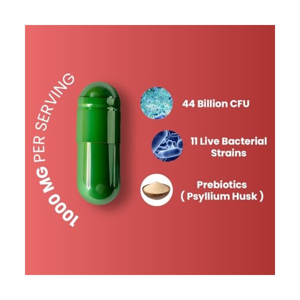 ZEROHARM Digestion Max – Probiotiques à 44 milliards dUFC avec 11 souches et prébiotiques – Soutien intestinal et digestif –