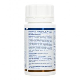 HOLORAM AINDOL 640 mg 60 – supplément complet conçu pour la routine de tous les jours, boîte de 60 gélules, favorise le bien-