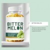 Soutien global et digestif – Végétalien, sans agents de remplissage, sans OGM, sans gluten | amers digestifs bio | Melon amer