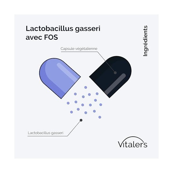 Lactobacillus Gasseri avec FOS Vitalers – 60 gélules, Vegan, Formule Pure, Approvisionnement pour 2 Mois