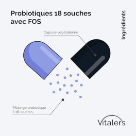 Probiotique Vitalers 18 Souches avec FOS 30 gélules – Vegan, Formule Pure, Sans Agents de Remplissage, Soutien Digestif
