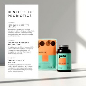 Fitness Health Acidophilus Lactobacillus 550 Million 120 comprimés – Comprimés contre le mal des transports – Suppléments pro...