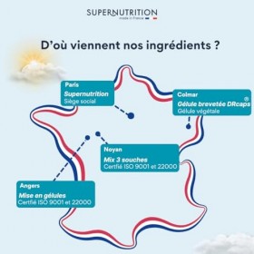 Lactobacillus Gasseri - Probiotiques 100% FRANÇAIS - Flore Intestinale Digestion - 20 Milliards dUFC - Gélules Gastro-Résist