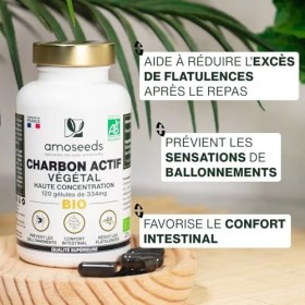 Charbon Actif Végétal BIO | Haute Concentration, 2000mg / Jour | 120 gélules de 334mg | Ballonnements, Flatulences | Qualité 