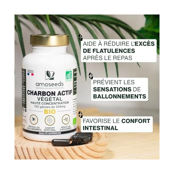 Charbon Actif Végétal BIO | Haute Concentration, 2000mg / Jour | 120 gélules de 334mg | Ballonnements, Flatulences | Qualité