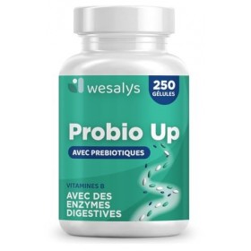 Probiotique flore intestinale - 250 gélules - 20 souches bactériennes, Probiotiques et prebiotique, lactobacillus gasseri, Bi