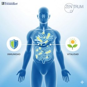 YNSADIET ACTIVE FERMENTUM ZENTRUM 30cap. – gélules qui facilitent la supplémentation quotidienne, contribue au fonctionnement
