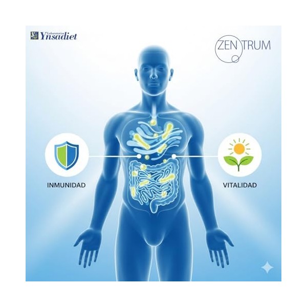 YNSADIET ACTIVE FERMENTUM ZENTRUM 30cap. – gélules qui facilitent la supplémentation quotidienne, contribue au fonctionnement