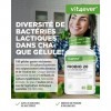 Probio 20 - Complexe de cultures avec 21 milliards de ferments lactiques et 20 souches bactériennes + inuline bio par dose jo