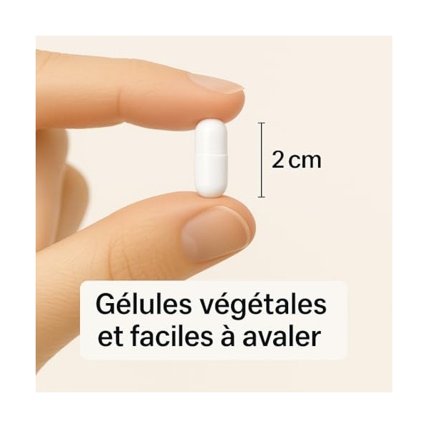 Probiotiques Flore intestinale - Ferments lactiques - 10 souches naturelles cultivées en France - 60 Gélules gastro-résistant