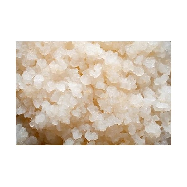 Kombuchaorganic® - Grains de kéfir deau certifiés bio - probiotiques vivants - cristaux d’eau japonais - kit de démarrage so ...